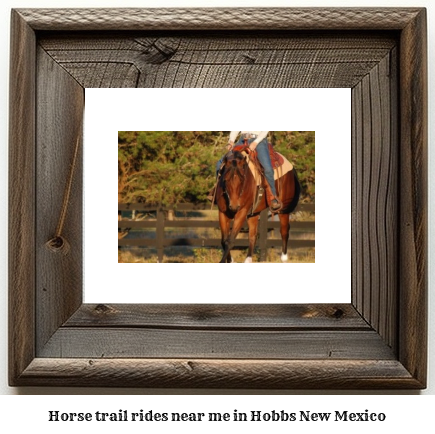 horse trail rides near me in Hobbs, New Mexico